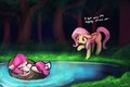 Hedgehorse