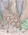 Carries off dog