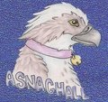 Windpaw's Asna Badge by Karja