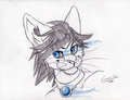 Commission- Costello by Sombra