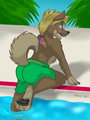 Poolside Pup by BabsBunny