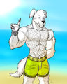 Summer at the beach by MSLion