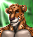 Panther by MSLion