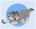 Sneaky Grey Wolf