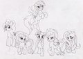 Mis Ponys