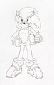 Sonic 20 años