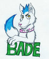 Anthrocon 08 Badge