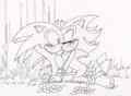 sonadow-despierta