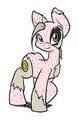 A Pony? Why do I have a Pony?