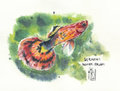 watercolor practice  by Merfiller
