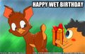 Wet Birthday