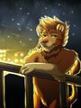 Lion the Night Away