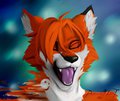 Why Nawt? by MurcielagoImprision