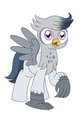 Bird and cat pony