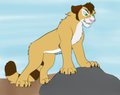 Anger by Tuli