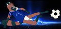 tanuki star on the field 