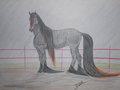 Most Beautiful Horse Shikoba by KiyiyaHowlingWolf