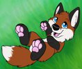 Belly Rubs Please? by Kristofur