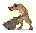Gnoll