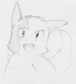 Zangoose