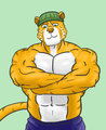 Josh the tiger by joshthetiger
