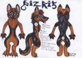 Bizkit The German Shepherd Reference Sheet. by SelfishMonsta