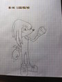 Knuckles the Echidna