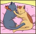 Germouser & Itabby Coloured -Trade-
