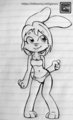 Bunny bikini