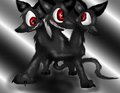 Cerberus