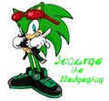 Scourge the Hedgehog