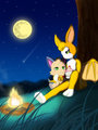 *C* Warm & Sweet