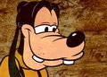 Duke & Goofy