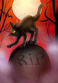 31 days of halloween : day 16 grave