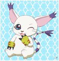 Gatomon Sitting