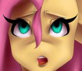 Flutter