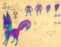 Sassie Full Feral Ref by SassieCassie