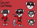 Garret Greyhound by TonyYorkieSilky1991
