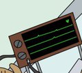 Young zombie cat in hospital