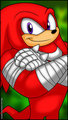 Knuckles by Verona