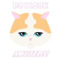 not amused cat