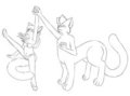WIP for coltores