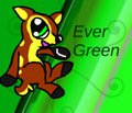 Ever Green the deer