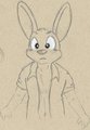 Nervous Critters