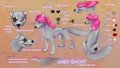 The Grey Ghost my Alpha and Omega fursona ref by KINGandQUEENofEPIOKS