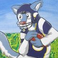 American football: catch by pandapaco
