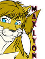 Max Lyon - 2011 FE Badge
