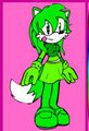 sasha the fox