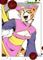 tigress/lei-lei by nr1231