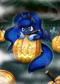 [Reward] Jack Moon Lantern by vavacung